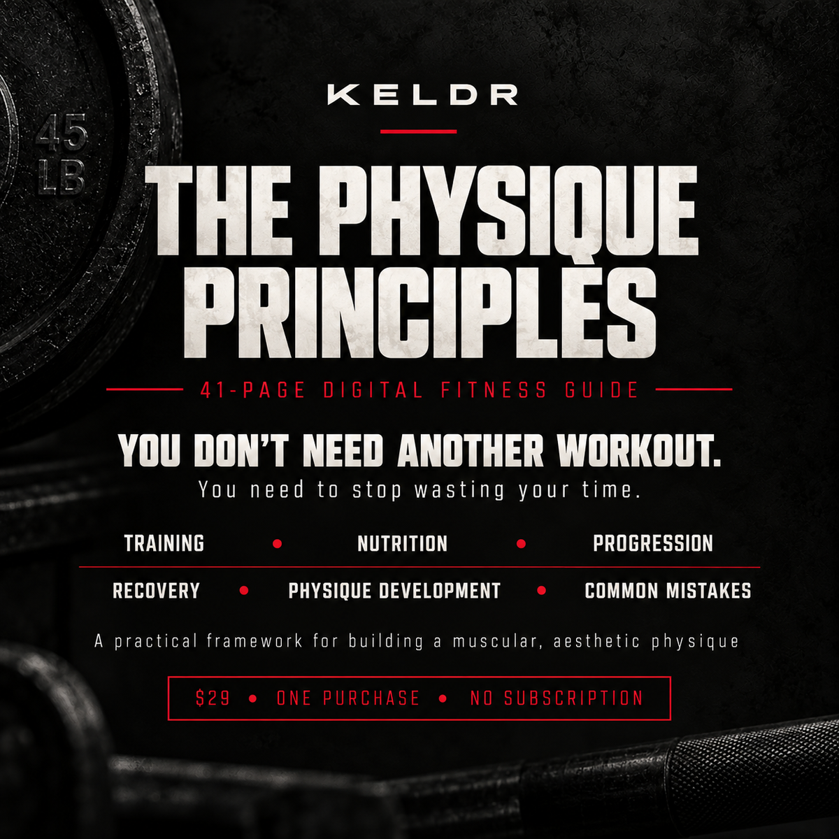 The Physique Principles PDF